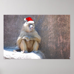 Poster Singes et babouins de Noël