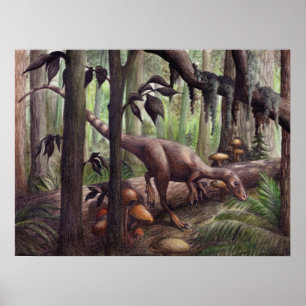 Poster Sinosauropteryx Imprimer