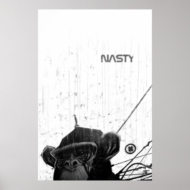 Poster SIT "Singe" (Devant)