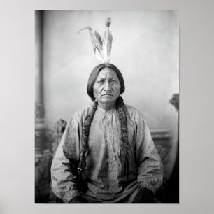Poster Sitting Bull Portrait - Vers 1883