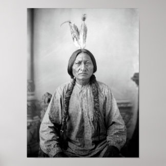 Poster Sitting Bull Portrait - Vers 1883