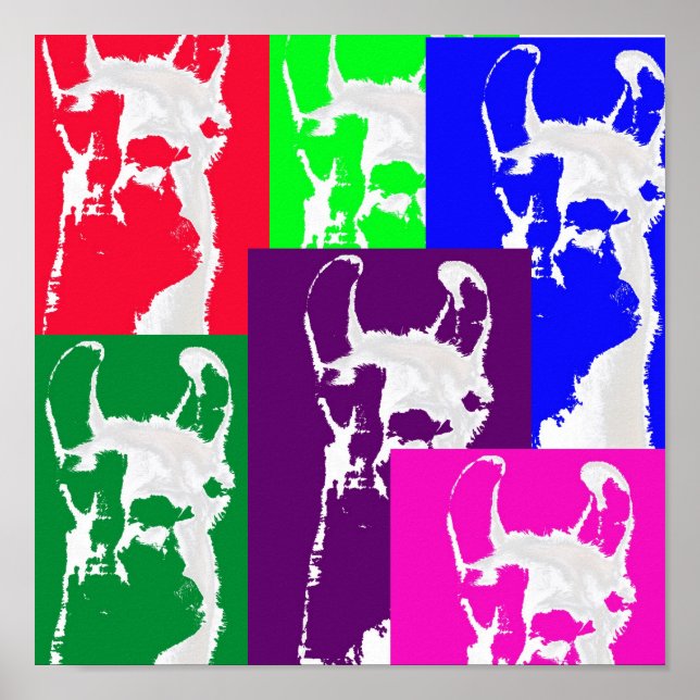 Poster Six lamas multicolores. (Devant)