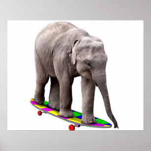 Poster Skateboard éléphant