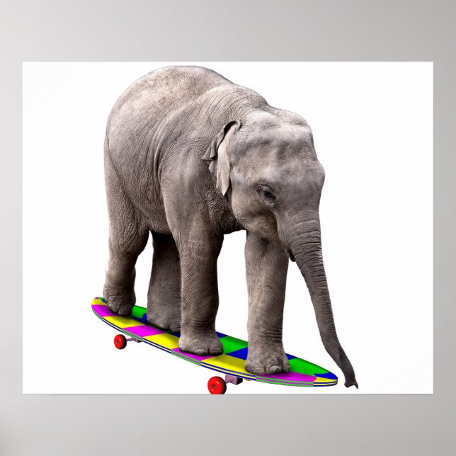 Poster Skateboard éléphant (Devant)