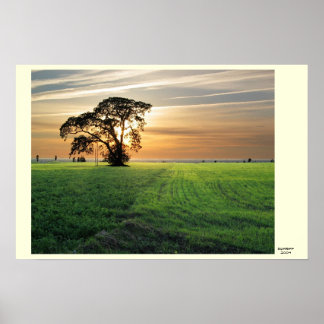 Poster Skati de Kurzemes