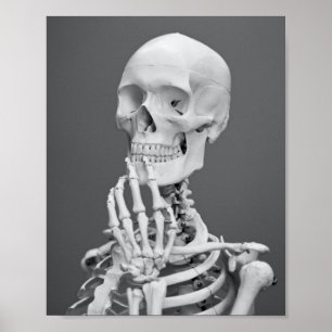 Poster Skeleton Skeleton Halloween gris noir et blanc