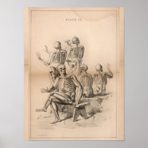 Poster Skeletons humains Anatomie Vintage Art Imprimer 18