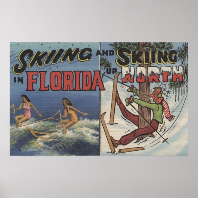 Poster Ski nautique en Floride vs Neige Ski vers le nord (Devant)
