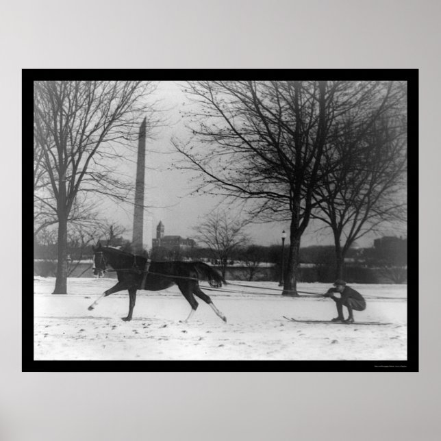 Poster Skiing Behind Horse Washington, DC 1919 (Devant)
