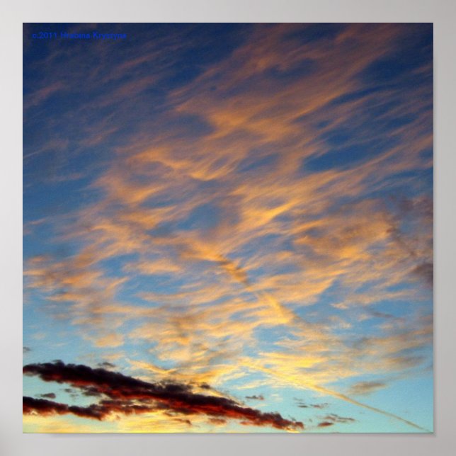 POSTER SKY ALIEN (Devant)