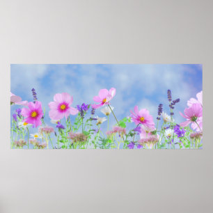 Poster Sky Spring