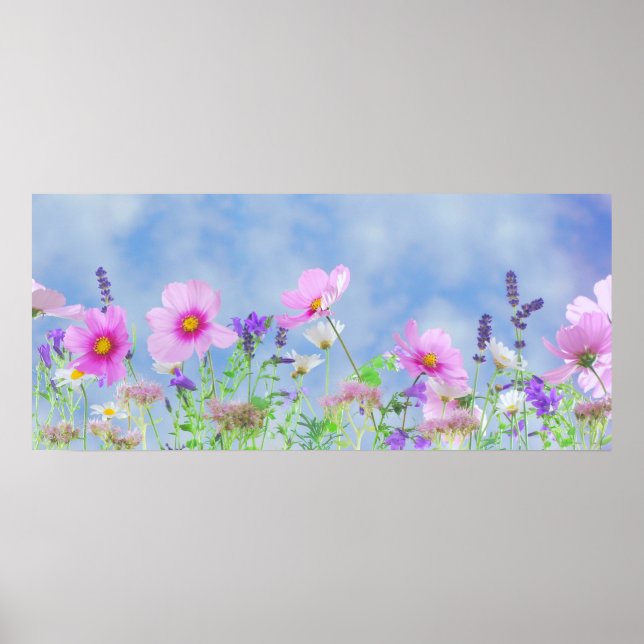 Poster Sky Spring (Devant)