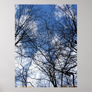 POSTER SKY WEBBBED.