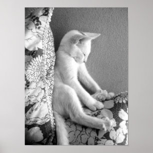 Poster Sleeping