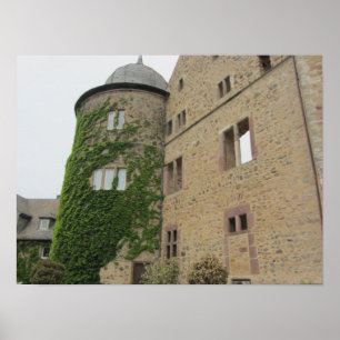 Poster Sleeping Beauty's Castle