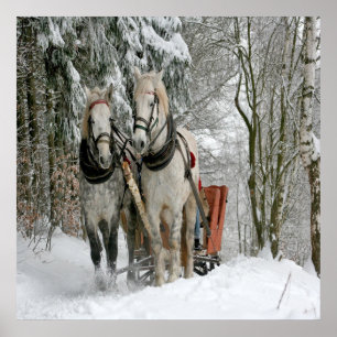 Poster Sleigh Ride