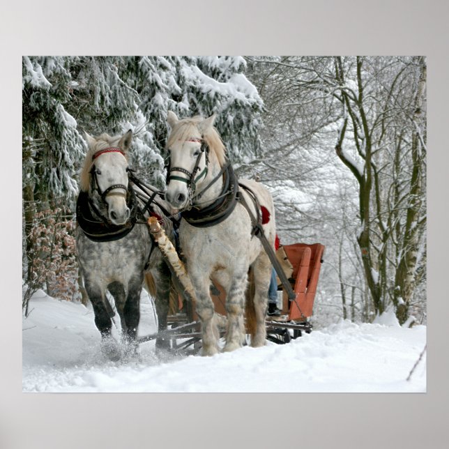 Poster Sleigh Ride in Winter Wonderland (Devant)