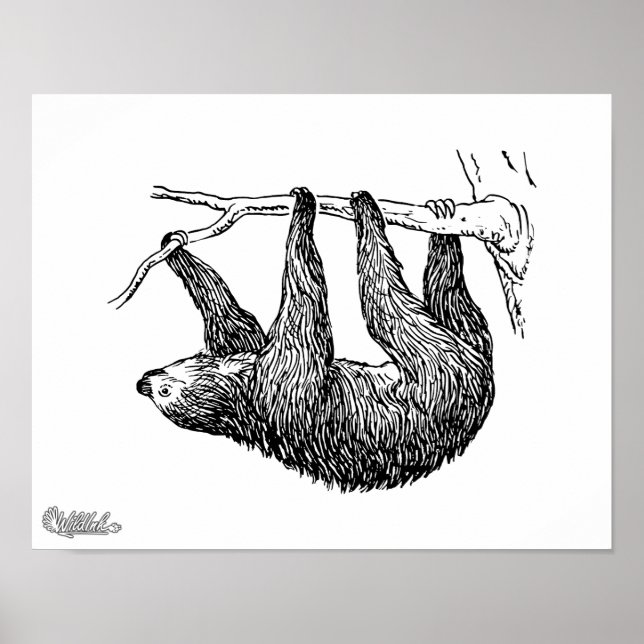 Poster Sloth (Devant)