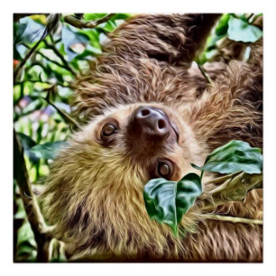 Poster Sloth peint