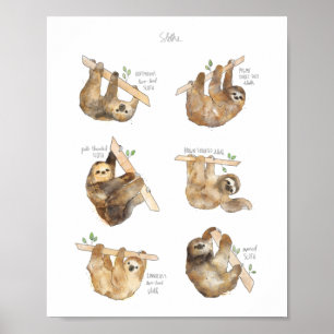 Poster Sloths Classic