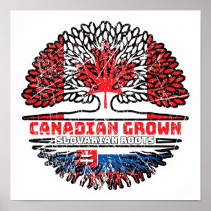 Poster Slovaquie Slovaque Canadian Canada Tree Roots Drap