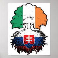 Slovaquie Slovaquie Irlande irlandaise drapeau des