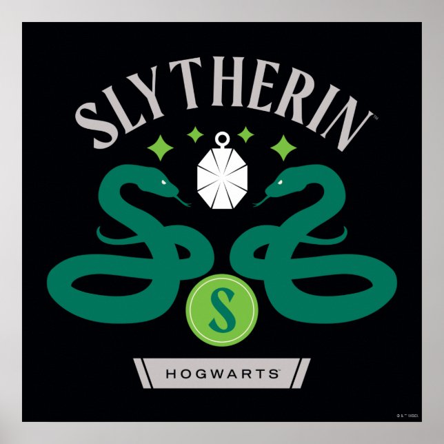 Poster SLYTHERIN™ House Double Snake Locket Graphique (Devant)