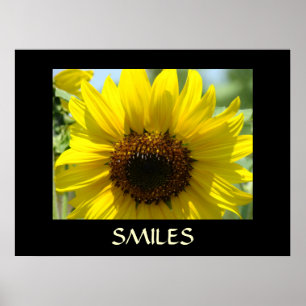 Poster SMILES Art Print Yellow SUNFLOWERS Wall Art
