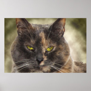 Poster Smug Kitty - Faites Ce Que Vous Voulez?
