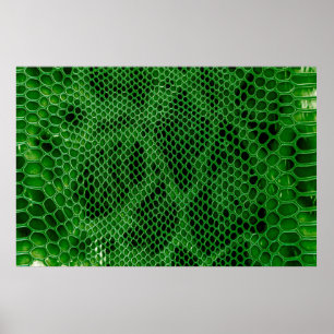 Poster Snake skin background