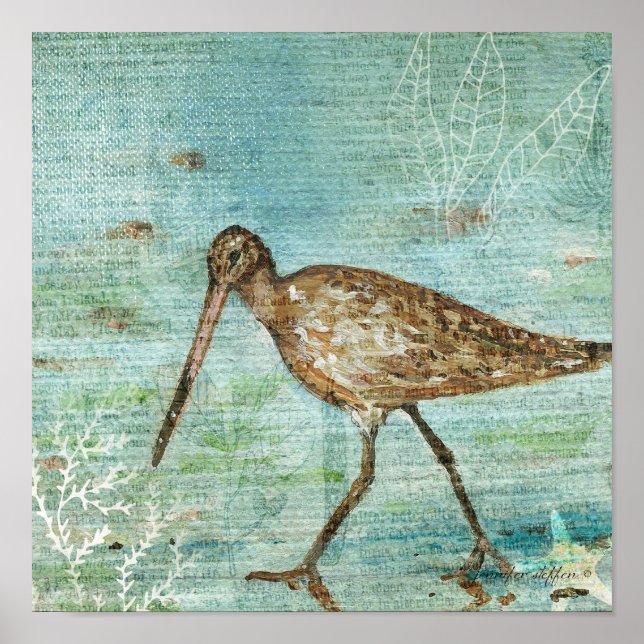 Poster Snipe Coastal Shorebird (Devant)