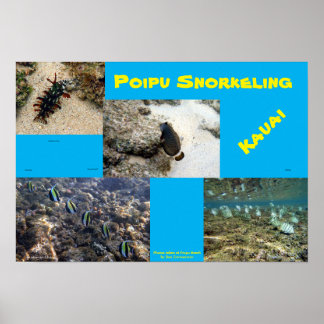 Poster Snorkel Poipu