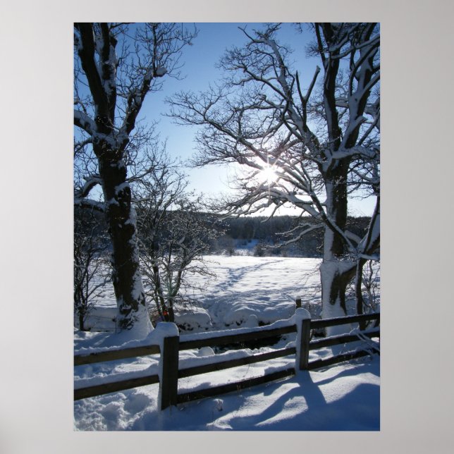 Poster Snow Trail (Devant)