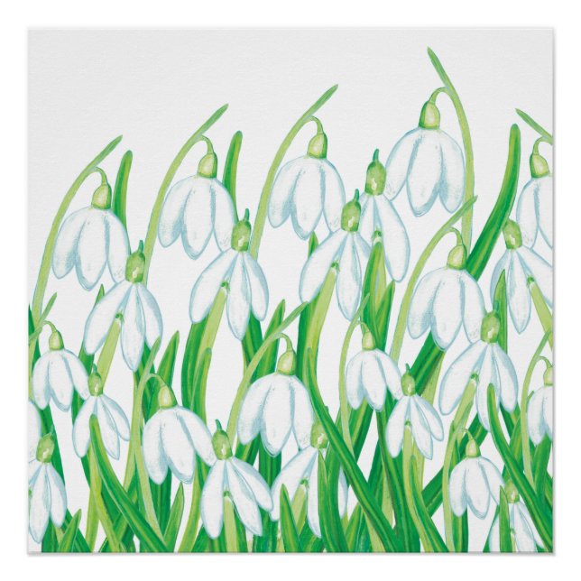 Poster Snowdrops de printemps (Devant)