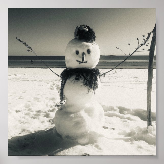 Poster snowshore (Devant)