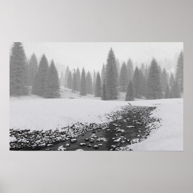 Poster Snowy Creek (Devant)