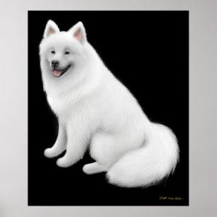 Poster Snowy Samoyed Chien Imprimer