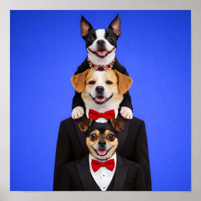 Poster "So Happy Together" (Devant)