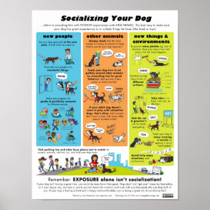 Poster Socialiser votre chien