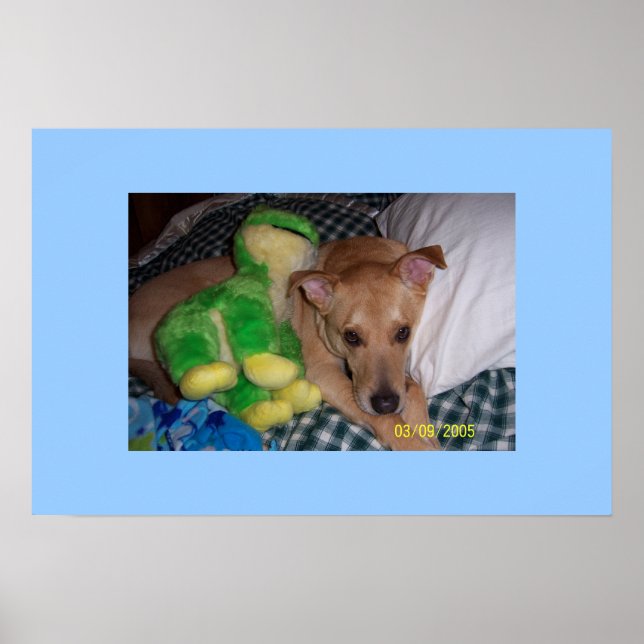 Poster Socrates (Devant)