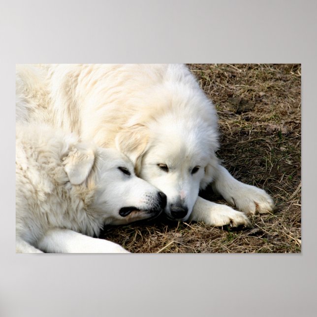 Poster Soeurs (Devant)