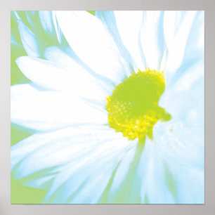 Poster Soft White Flower Print