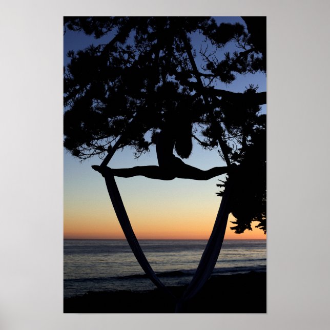 Poster Soies aériennes au coucher du soleil Vertical (Devant)