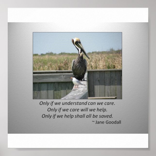 Poster Soins (Devant)