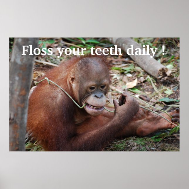 Poster Soins dentaires Floss Dentiste pour enfants (Devant)