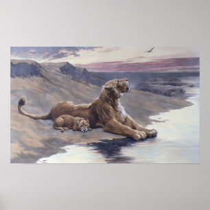 Poster Soins maternels