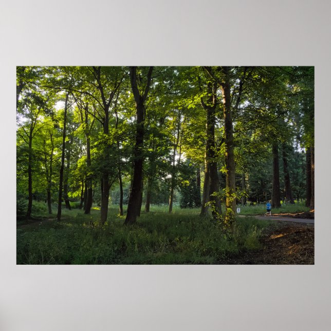 Poster Soirée D'Été, Bute Park, Cardiff (Devant)