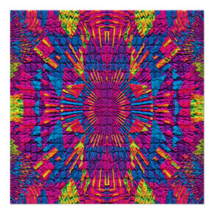 Poster Soirées fêtes sauvages ! ! !