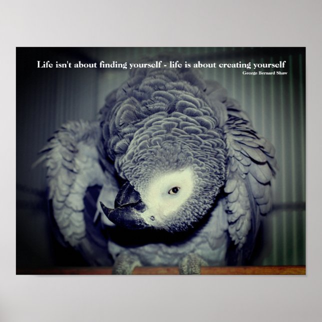 Poster Sois toi-même mignon Parrot Citation Inspirationne (Devant)