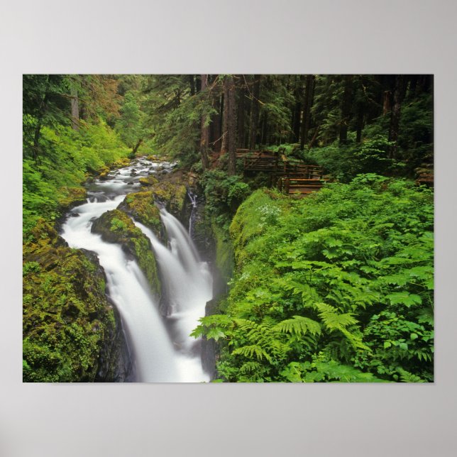 Poster Sol Duc Chutes dans le Parc National Olympique 2 (Devant)